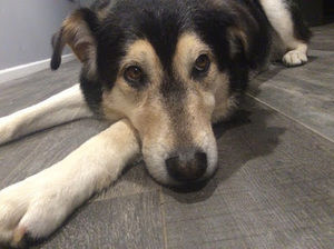 Meet your Posher, Zachary